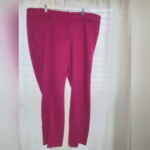 Lane Bryant ankle pants, size 20